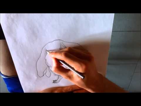 Spiderman - Speed Drawing