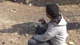 Arab Al Rashayida, Solar System,Renewable Energy