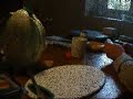 Poppe the magpie... The continueing...