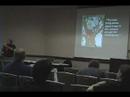 Using Virtual Economics Presentation at MCSS 2007