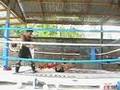 muaythai ass wooping in Thailand funny