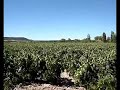 Abadia Retuerta - Anti-bird system