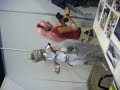 Pikminlink en Mty!!! 2008