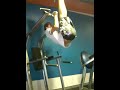 Leg Raise Pull Up