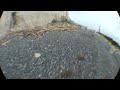 Beachy Bad Boy Boogie 2-way