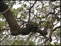 1 Minute Vacation - Sunol-Ohlone Wilderness 1 Minute Vacation - Sunol-Ohlone Wilderness