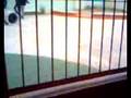 videos de lalalalalalalalalalalalalalalalalala
