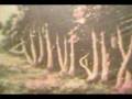videos de WOW NASHEED-99 NAMES OF ALLAH-WE KAMAL UDDIN.avi