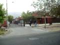 videos de MIMO MAXI POCHONGUITOS
