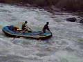 Zobacz film