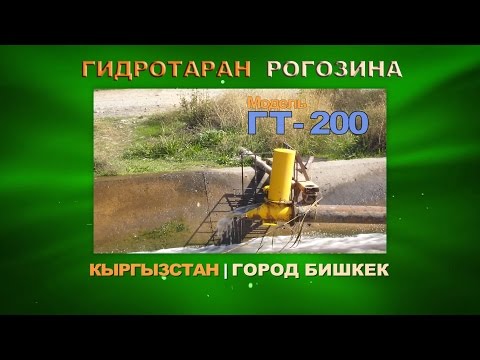 Гидротаран рогозина Гидротаран рогозина