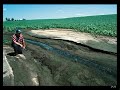 Alterações climáticas e protecção da saúde