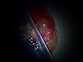 we made some pretty weird fake blood and we wanted to do a test, but we could'nt get my bro to co-operate so i got his friend to do it.


and his friend, david, puked because i added too much artificial sweetener.

sorry its so dark, its lighter on my camera