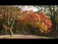 Shenandoah National Park DVD Postcard - YouTube