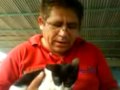 cono usar un gato para la defensa en caso de ser requerido como cargarlos y descargarlos atacar cuando sea necesario pero cuidado puede ser peligroso que la rafaga de tiros pueda caer sobre su humanidad disfrutenlo