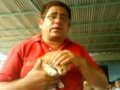 cono usar un gato para la defensa en caso de ser requerido como cargarlos y descargarlos atacar cuando sea necesario pero cuidado puede ser peligroso que la rafaga de tiros pueda caer sobre su humanidad disfrutenlo