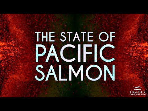 3MMI - STATE OF THE PACIFIC SALMON - DFO, Listen to the Testimony