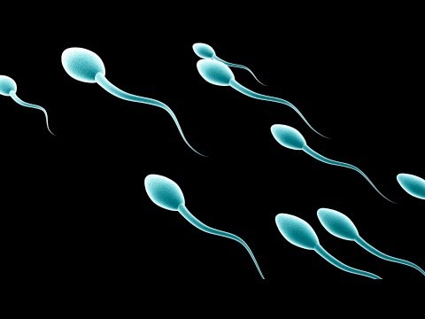 how to check sperm count