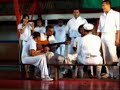 samba de viola