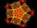 CHAKRA MEDITATION,(A PART OF A FULL CD)