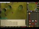 Dragon Impling Spotting