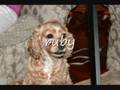 cute gieseke