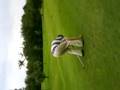 Boo Weekley in Thorne
