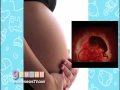 Estimulacion pre-natal con la lectura