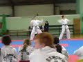 UCD TKD leinsters 2008