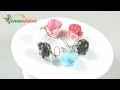 Cute Pig Lovers Cartoon Cell Phone Strap Charm 2 Pcs BP-614 - dinodirect
