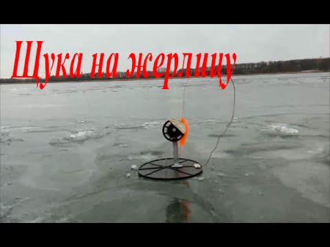 щука на жерлицы видео об установке щука на жерлицы видео об установке