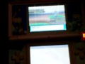 Pokemon Platinum Ev Training: Attack