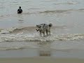 Keyush Swimmin