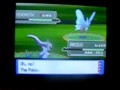 Shiny Venomoth! Route 229, chain of 40