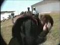 Head Banging on AFV My Shot vs Their Shot