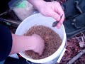 	      How to fish for carp with Ground bait
