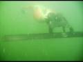 videos de Introducing the Dol-fin