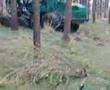 timberjack in norg