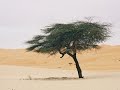 Grandes Desiertos