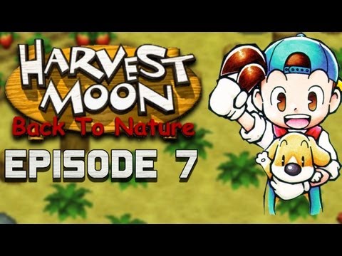 how to upgrade tools harvest moon btn