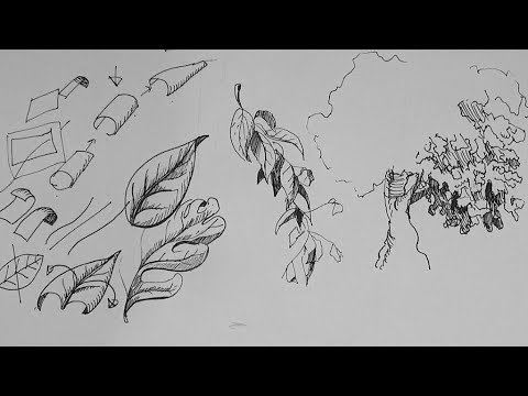 how to draw leaves on a tree