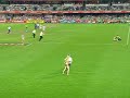 AFL Streakers