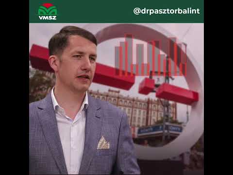 Vasárnapi Újság (Kossuth Rádió) - Interjú dr. Pásztor Bálinttal, a VMSZ elnökével-cover
