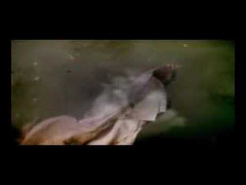 nocturnal emission - web clip