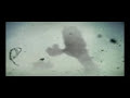nocturnal emission - web clip