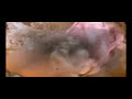 nocturnal emission - web clip