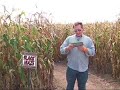 Corn Maze - Door County WI Travel Show