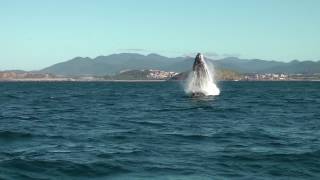 Threat and Risk Assessment Report associated with BBay Marine Park