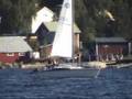 Segling Maxi 77