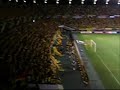 JEF-United-Chiba-fan